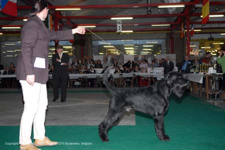 gal/Expo_janvier_2008/zoom (21).jpg